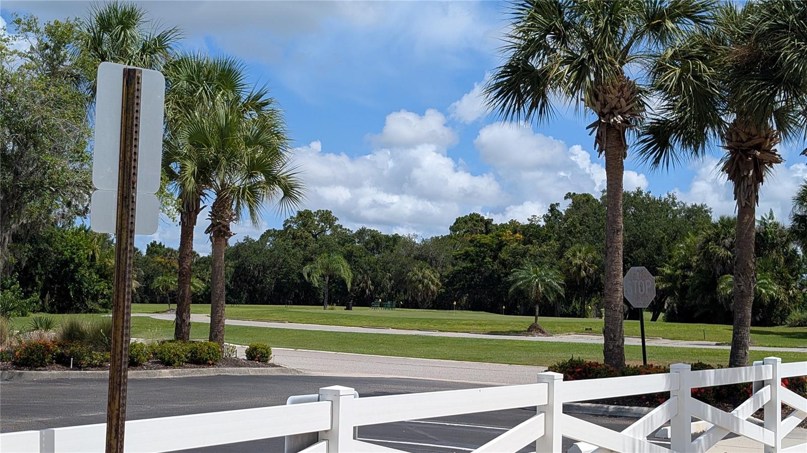 PALM GROVE - Residential