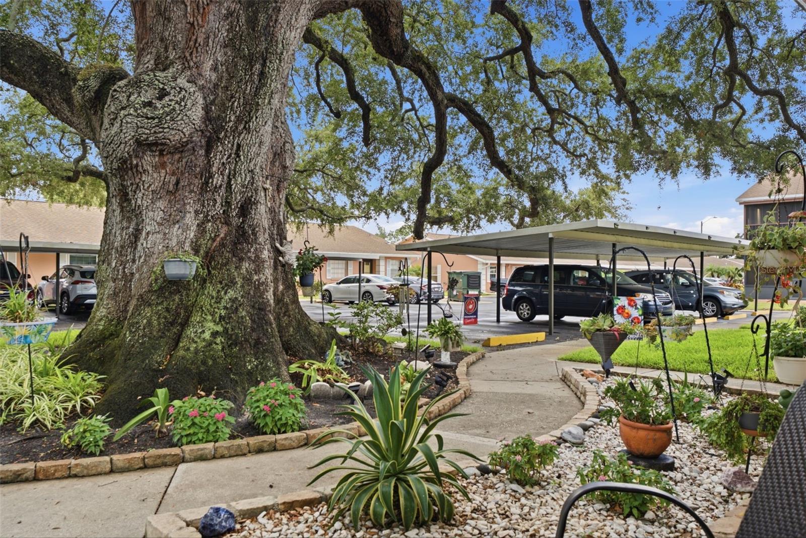 DRUID OAKS CONDO - Residential