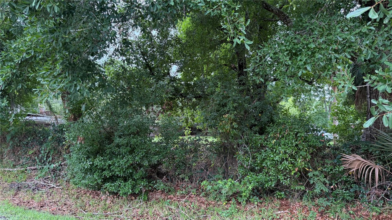 Rare opportunity to own the FINAL lot in this community! This 0.35-acre vacant parcel is a blank canvas ready for your custom dream home or next investment build. You get all the benefits of a completed, settled community with the freedom to build fresh. Generous lot size offers plenty of room for a spacious floor plan, outdoor living, and room to breathe. Bring your builder or bring your vision. Schedule your showing today!