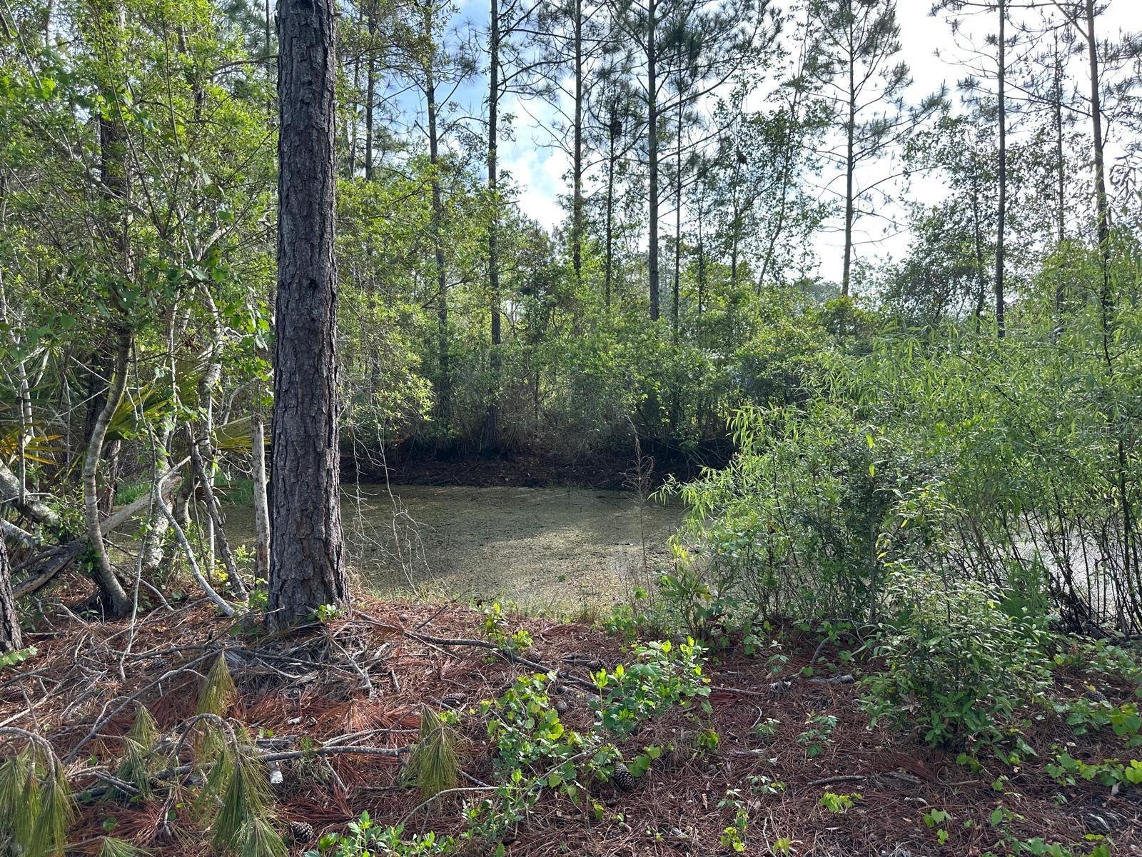 DAYTONA NORTH SUB - Residential