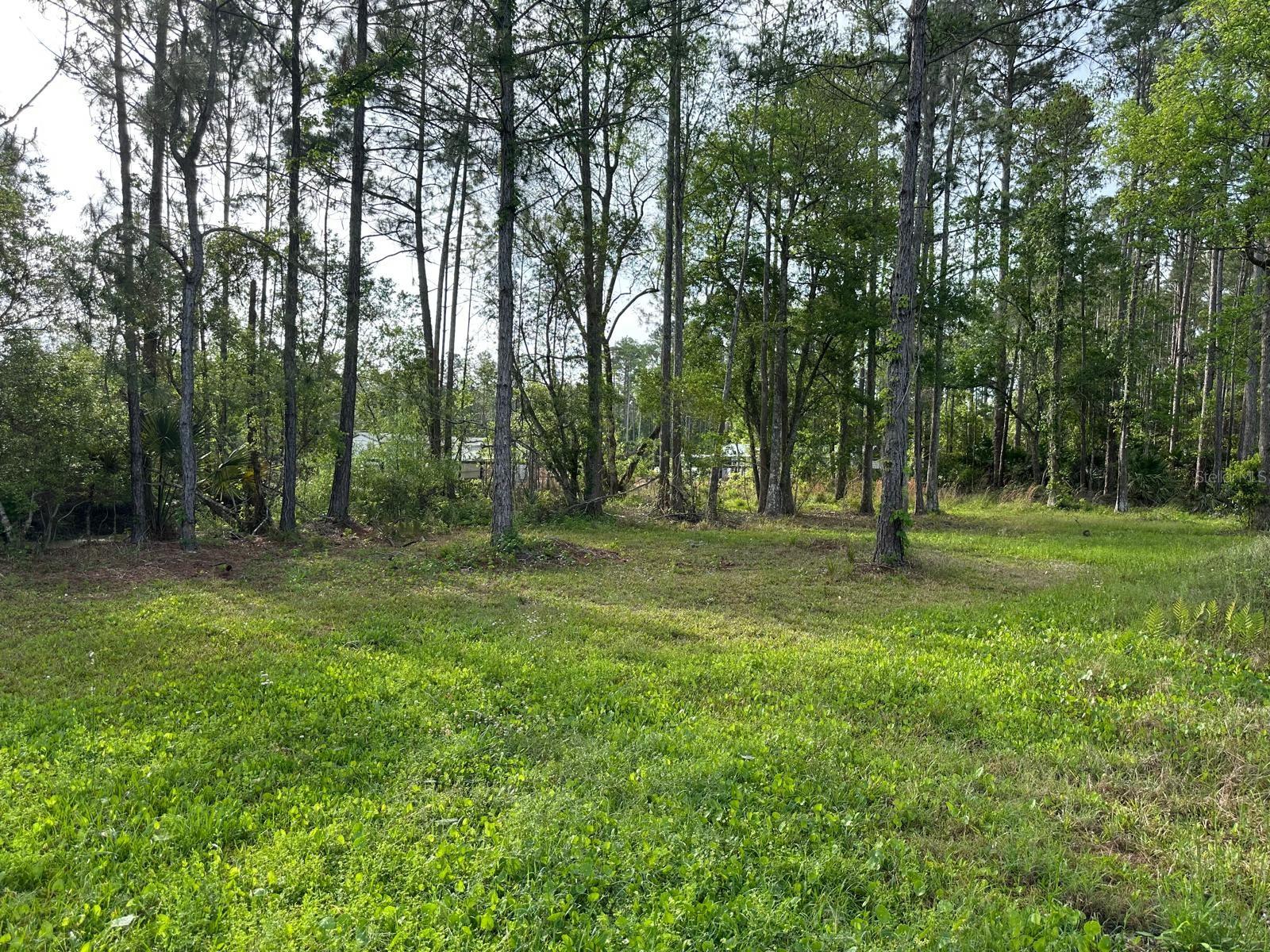 DAYTONA NORTH SUB - Residential