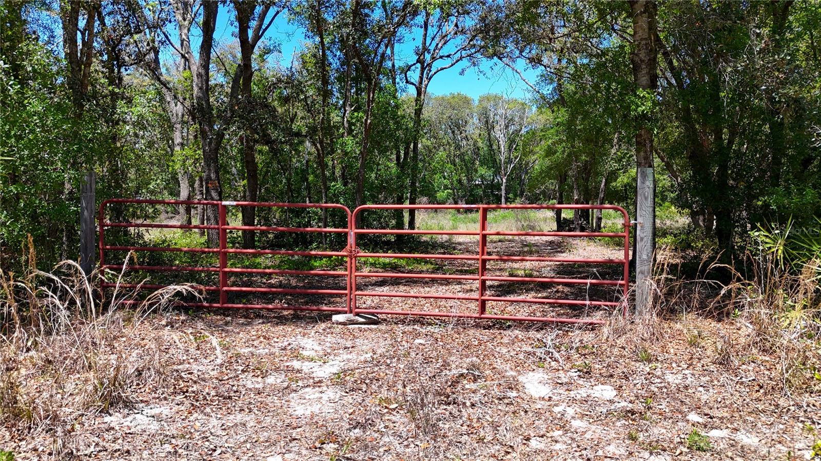 RIDGE MANOR ESTATE - Land