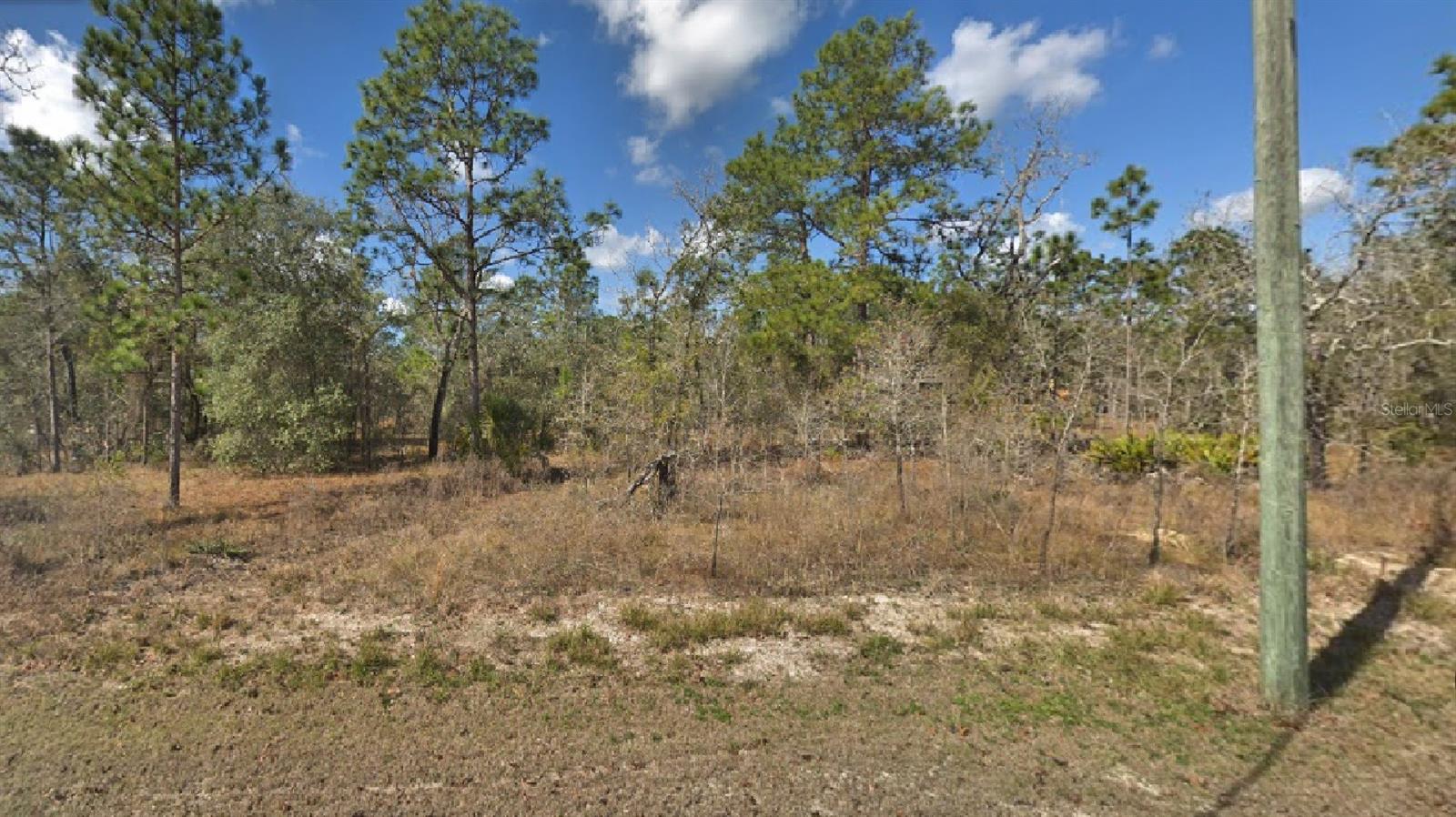 Great vacant lot!!!