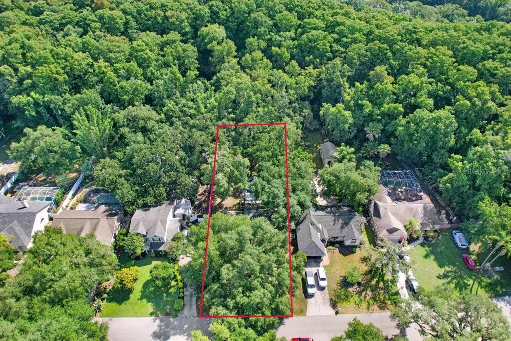 LAKE PADGETT PINES - Residential
