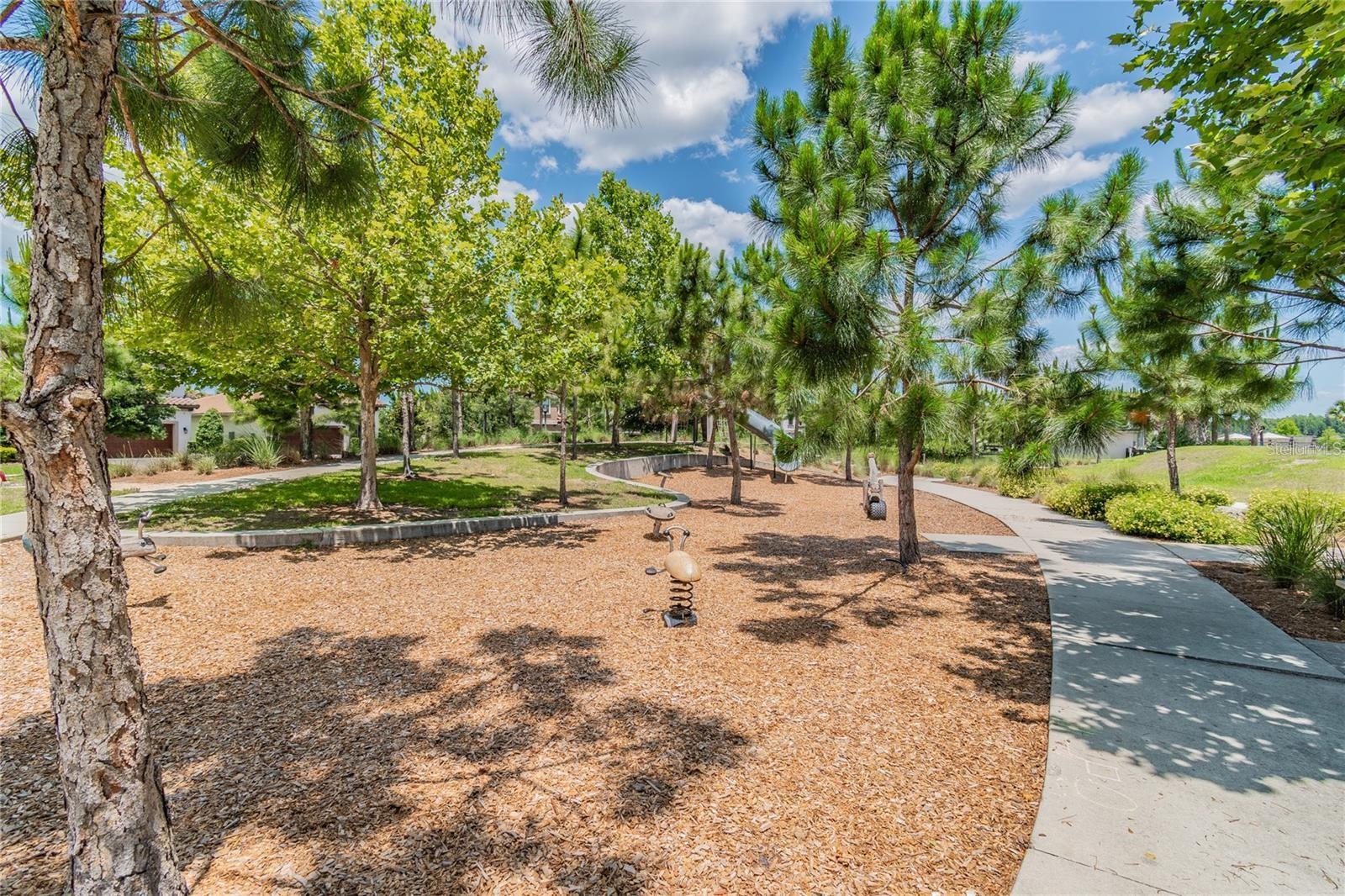 STARKEY RANCH PRCL C1 - Residential