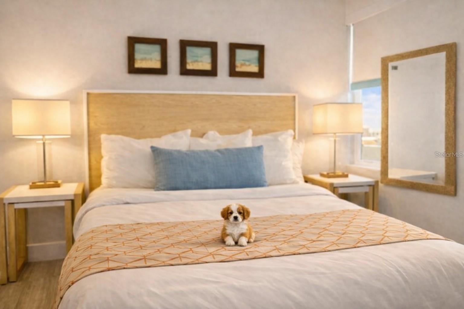 OCEANA AT TREASURE ISLAND CONDO - Residential