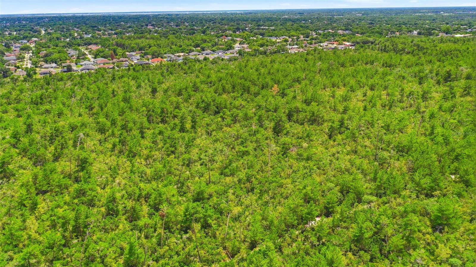 PINE VIEW ESTATES - Land