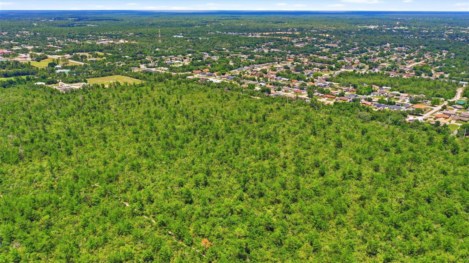 PINE VIEW ESTATES - Land