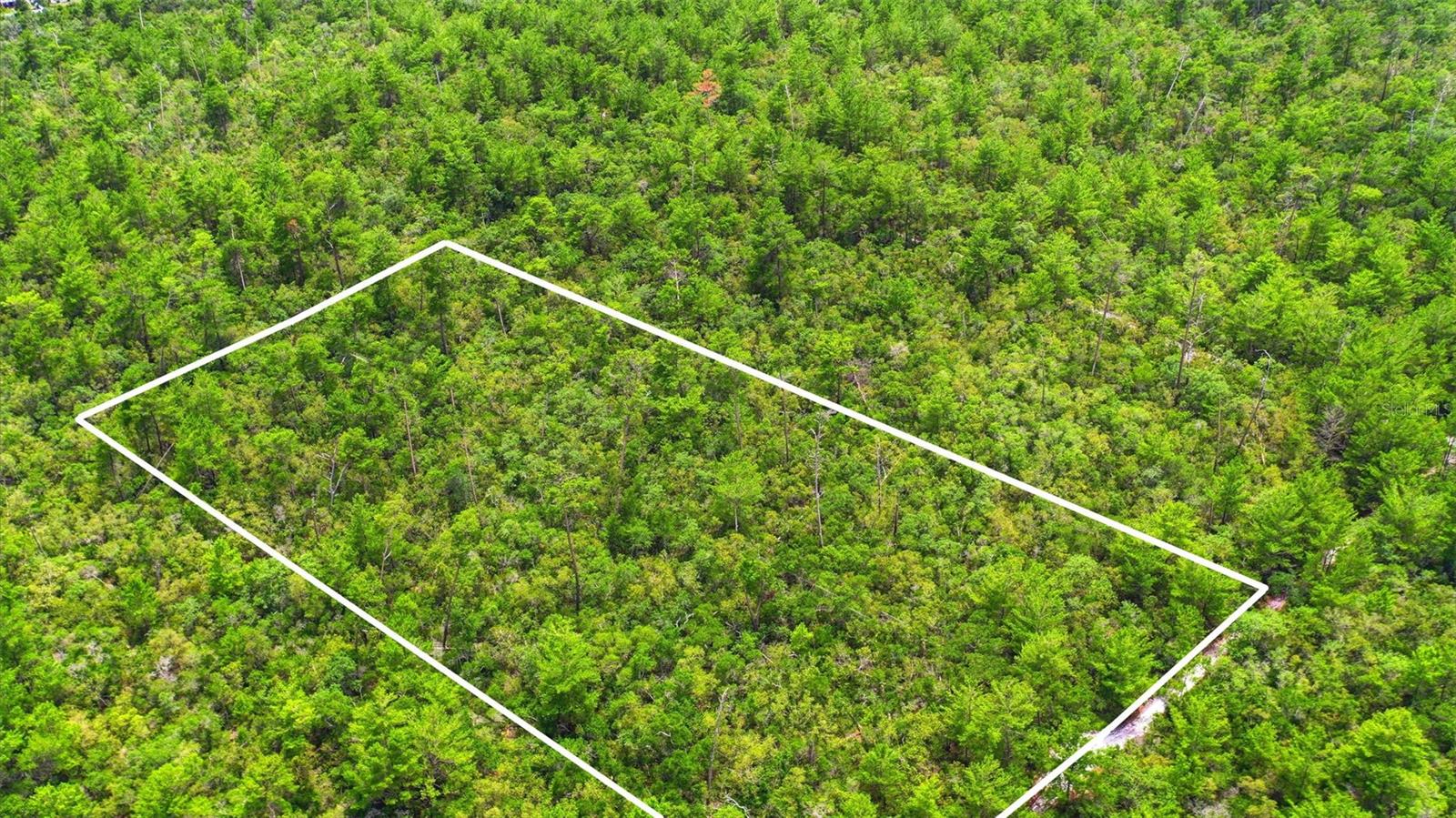 PINE VIEW ESTATES - Land