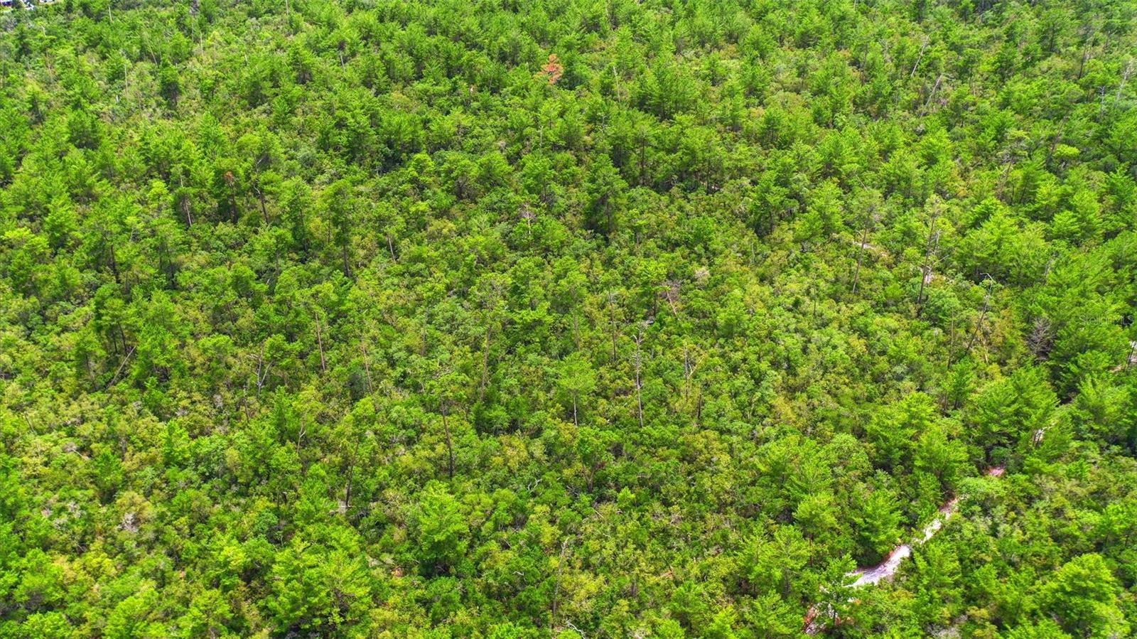 PINE VIEW ESTATES - Land