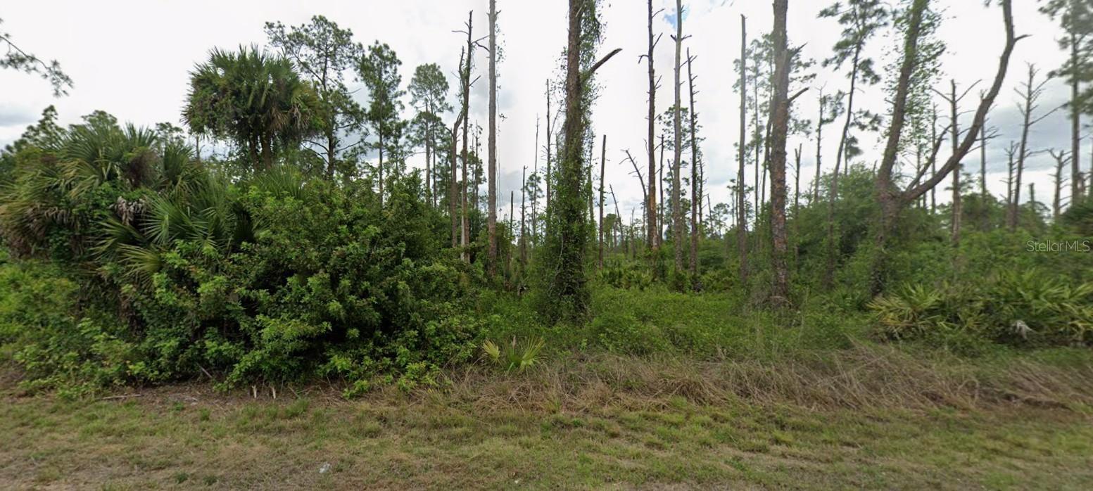 Build Your Dream Home in Lehigh Acres!

Discover the potential of this 0.25-acre vacant residential lot located in one of Southwest Florida’s fastest-growing communities. This uncleared parcel offers a blank canvas for your next project—whether you’re ready to build your dream home, invest for the future, or secure land in a rapidly expanding area.

Nestled in a peaceful neighborhood surrounded by new construction and residential growth, this property provides the perfect balance of privacy and convenience. Enjoy easy access to schools, shopping centers, dining, and major roadways, while still being tucked away in a quiet, nature-filled setting.

Outdoor enthusiasts will appreciate nearby attractions such as Harns Marsh Preserve, Lehigh Acres Trailhead Park, and Veterans Park & Recreation Center, offering walking trails, playgrounds, sports fields, and abundant green space. Plus, you’re just a short drive to Fort Myers and the beautiful beaches of Southwest Florida.

With no HOA, low property taxes, and utilities nearby, this prime piece of real estate presents outstanding potential at an affordable price. Don’t miss this opportunity to own land in thriving Lehigh Acres—bring your vision and make it your own today!