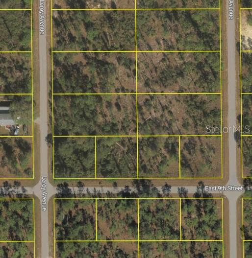 LEHIGH ACRES - Land