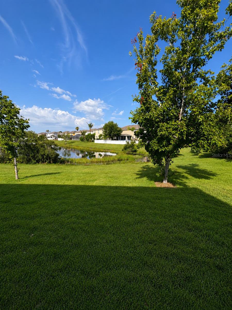 WINTERLAKES TR H 1ST REP - Residential