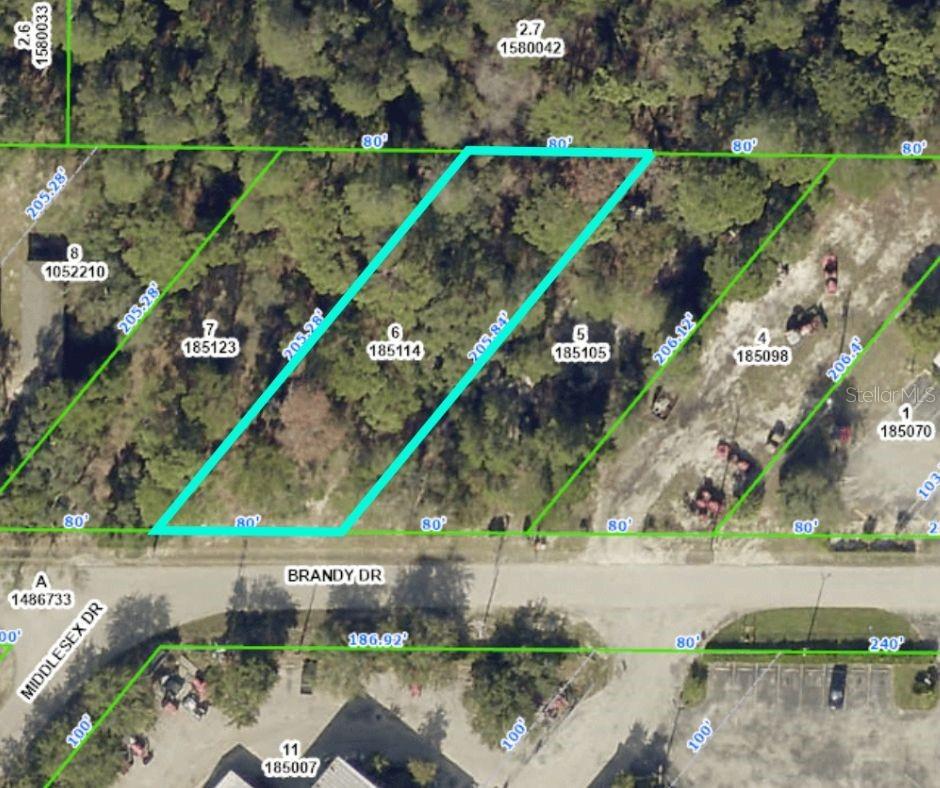 Prime Commercial Vacant Land!! This Is The Commercial Property You Have Been Waiting For!! .30 Acres Commercial Land. Location Is Ideal Being A Stones Throw Off Hwy 19 (Main Thoroughfare) Zoning is Currently C-1 So Bring Your Business As The Zoning Is Already Done For You. Parcel #R16 223 17 3820 0150 0050 Which Is Located To The Right Of This Parcel Is Also For Sale. Call Today!