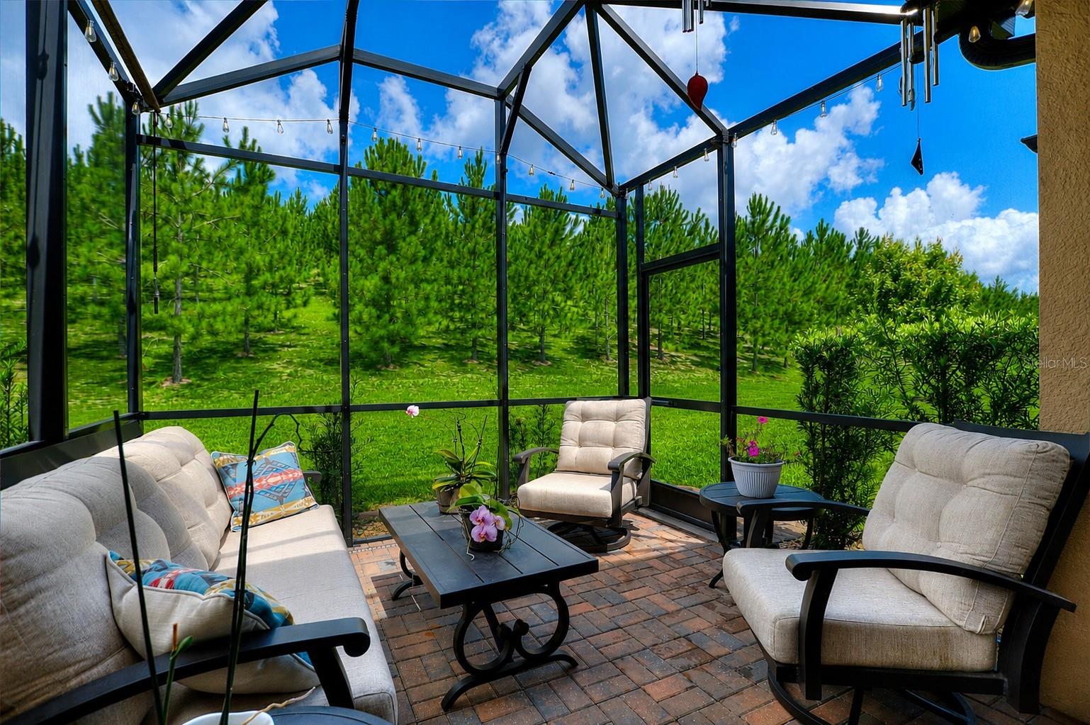 DEL WEBB ORLANDO RIDGEWOOD LAKES PH 2 VILLAGE 14 - Residential