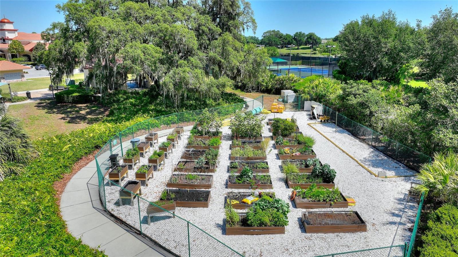 DEL WEBB ORLANDO RIDGEWOOD LAKES PH 2 VILLAGE 14 - Residential