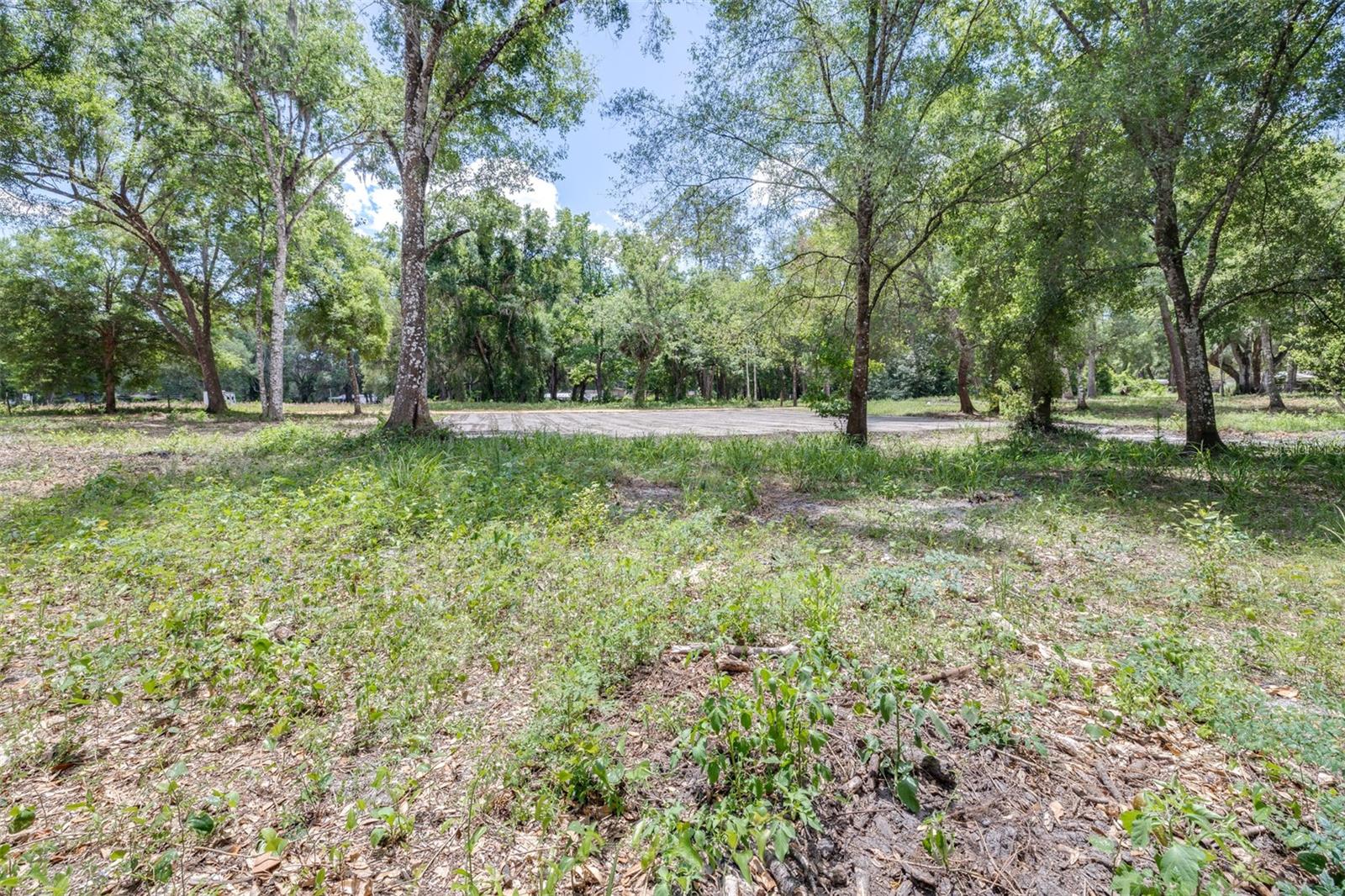 WOODING PLACE - Land