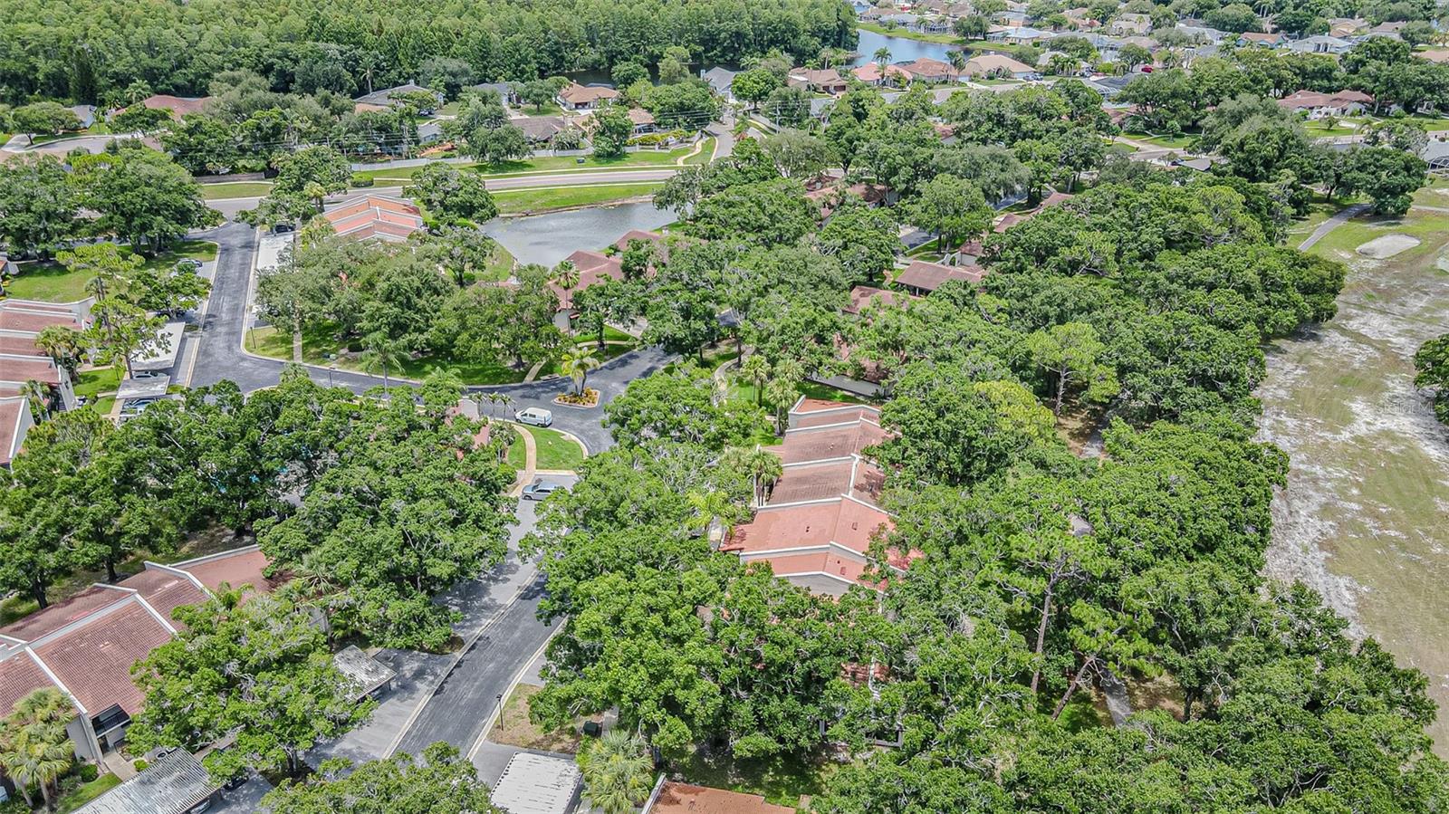 TARPON WOODS CONDO - Residential
