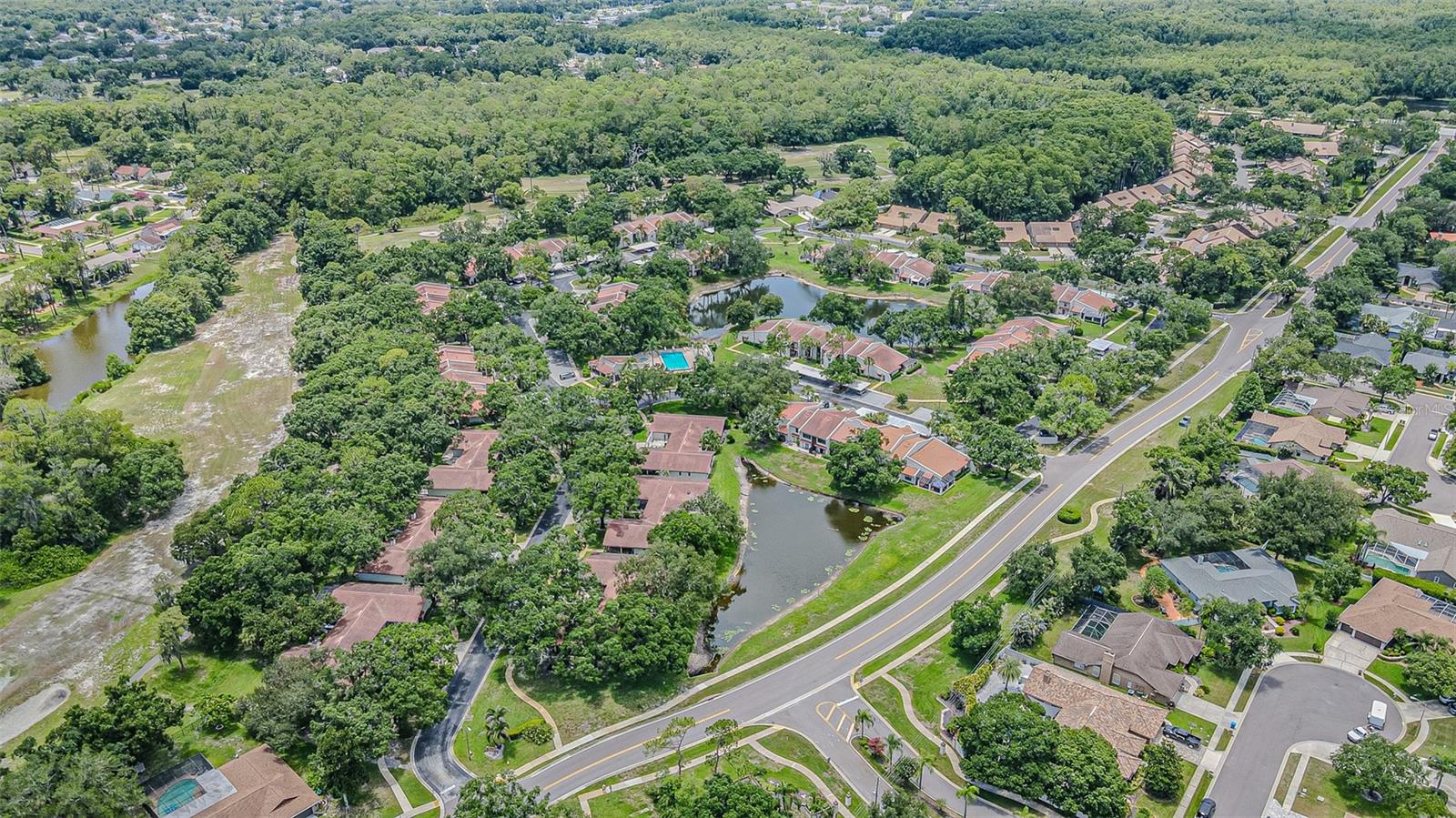 TARPON WOODS CONDO - Residential