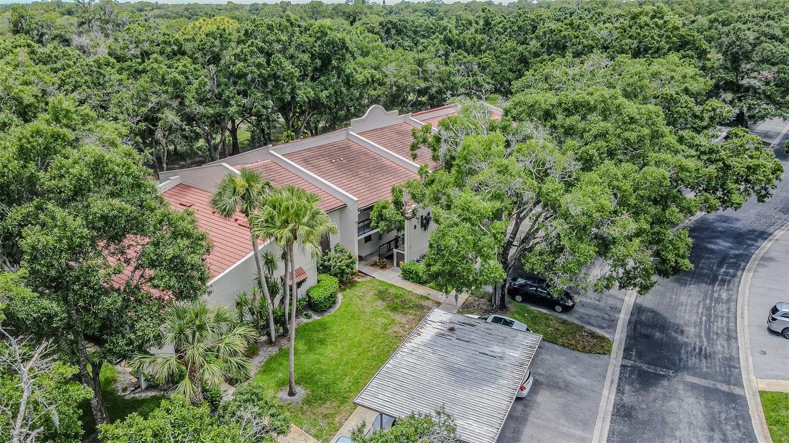 TARPON WOODS CONDO - Residential