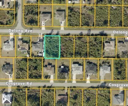 Great place to build, In the fast-growing city of North Port, FL! This standard 80x125 lot is surrounded by new homes and offers no HOA or deed restrictions. Convenient to Cocoplum Village Shops, Wellen Park, I-75, Gulf Beaches, Parks, and Schools. Choose your own builder and design the perfect Florida Lifestyle. Great for investment or your forever home!