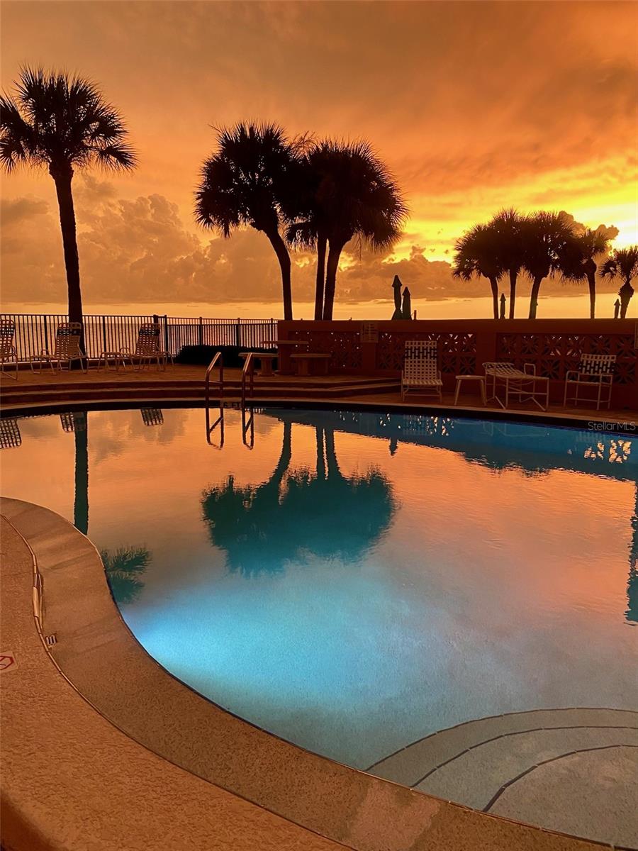 REDINGTON PLACE CONDO - Residential