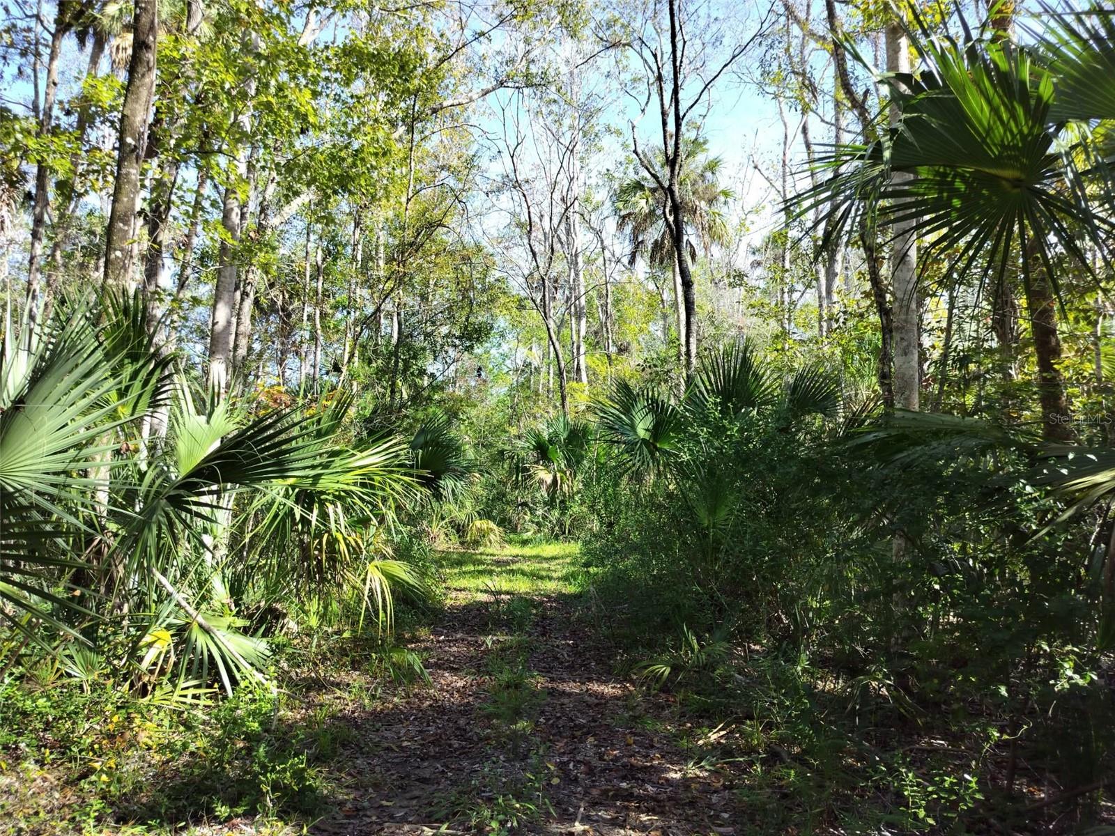 HOMOSASSA TOWN - Land