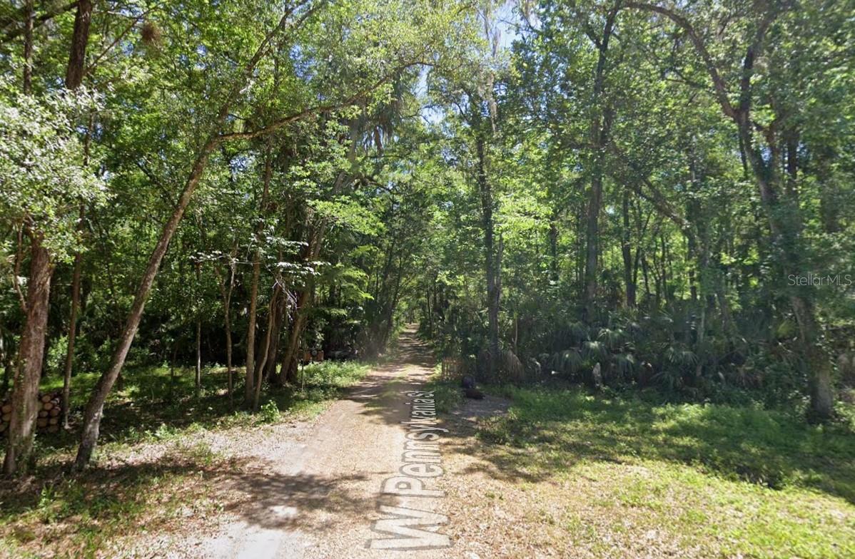 HOMOSASSA TOWN - Land