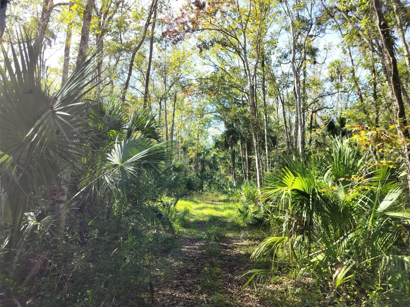 HOMOSASSA TOWN - Land