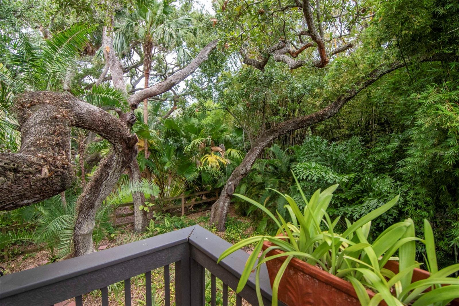 SHELL POINT - Residential