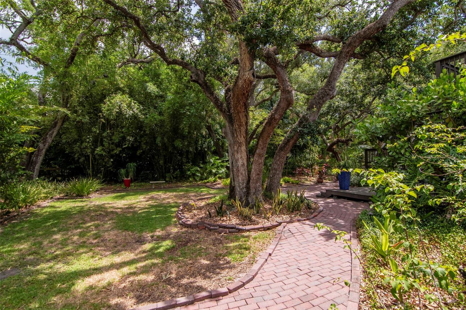 SHELL POINT - Residential