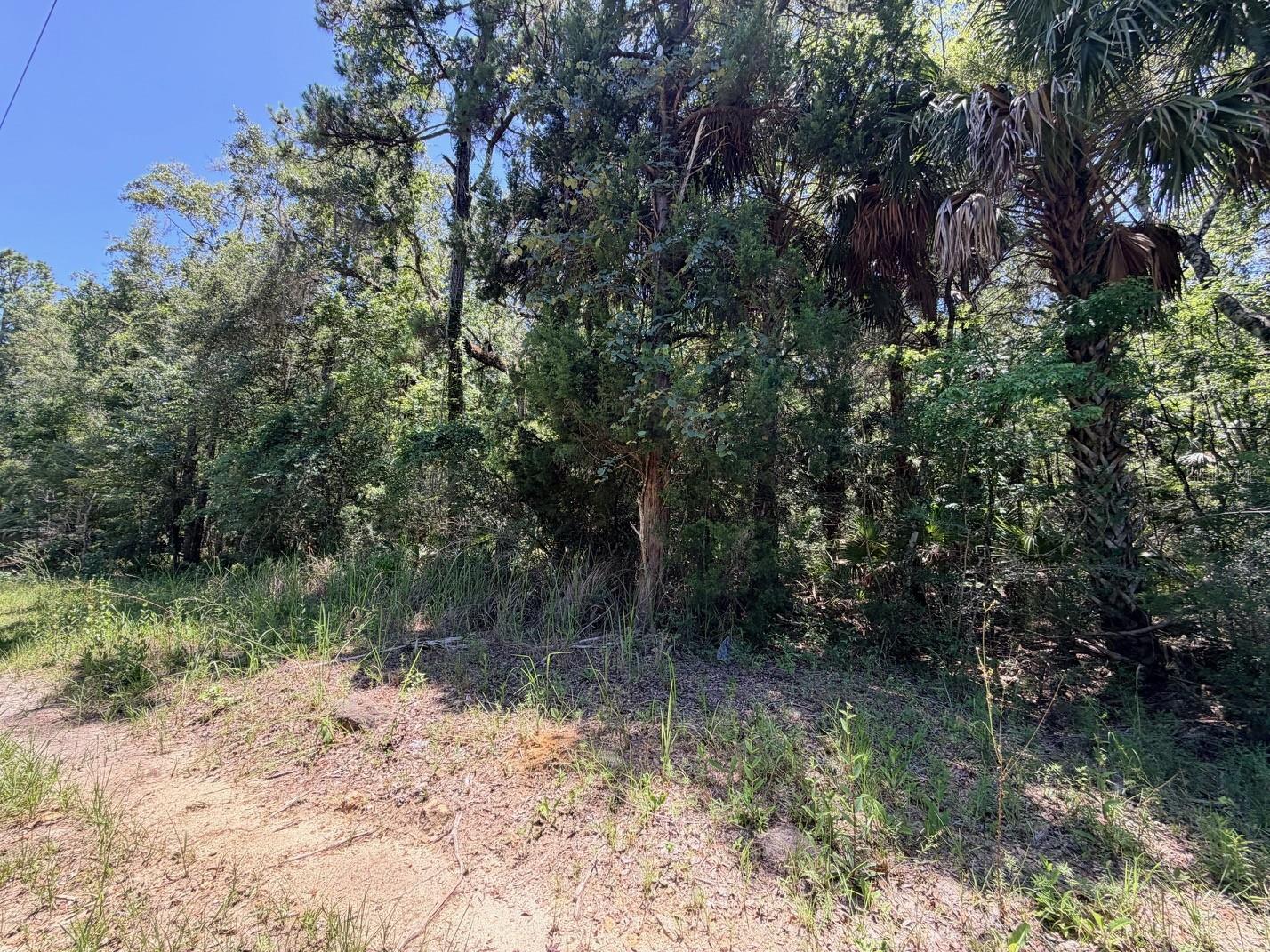 WACASASSA OAKS SUB - Land