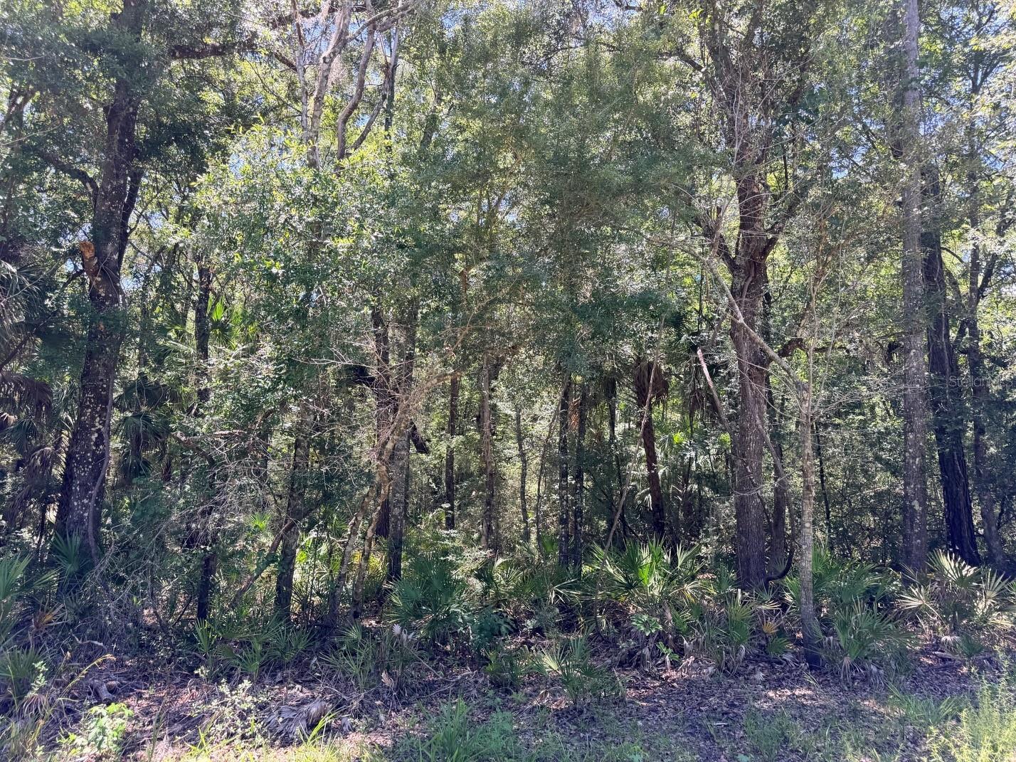 WACASASSA OAKS SUB - Land