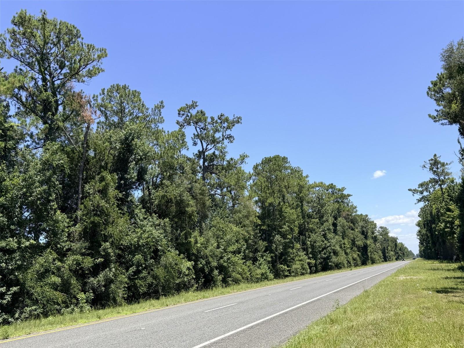 WACASASSA OAKS SUB - Land