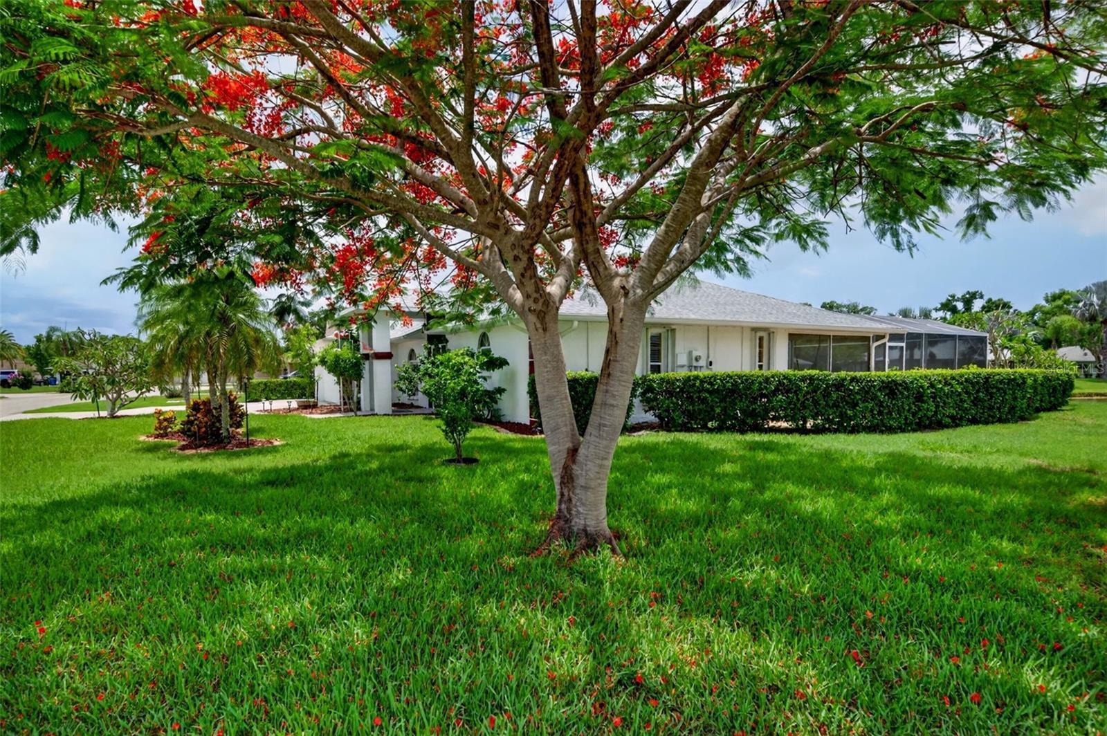 CEDAR CREEK - Residential