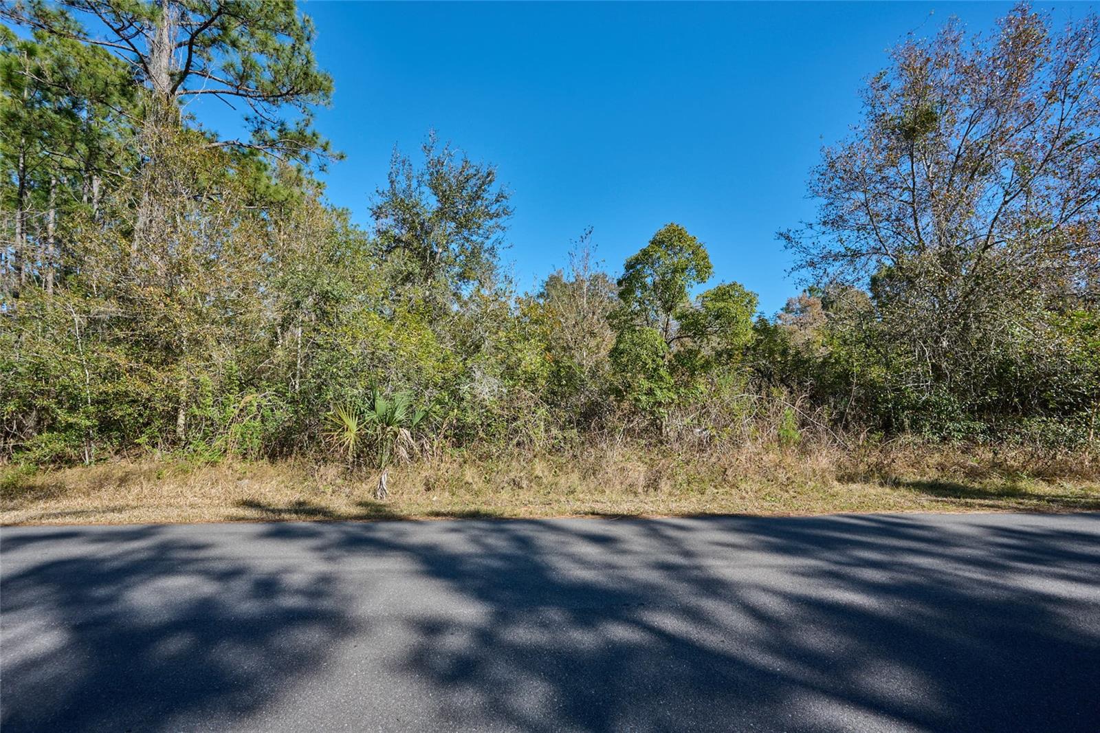 Each parcel in Indian Lake Estates has unique characteristics and deserves its own description. This canal lot offers an almost-perfect square, 145 feet of frontage with a depth of 150 feet. Perfect for a long ranch or a narrow, contemporary floor plan. There are plenty of trees for privacy -- and to keep the birds singing all around you. The waterfront draws the birds in the trees and in the water. There are no neighbors on either side of this lot at this time. A private well and septic are required, so electric is your only utility bill and the power lines are already in place. You are a couple hundred feet from Park Avenue, the main road in the community. And you are a few blocks from the largest lake in Polk County, Lake Weohyakapka. The fishing pier is there if you don’t feel like fishing off your own property and want a change of scenery. The roads are private, so drive your golf cart to the clubhouse for a round of golf, or to eat at one of the three restaurants in the neighborhood, or to the lake to watch the sunset. As you begin to plan your future in Florida, consider living a nice, private life in this neighborhood of Indian Lake Estates (informally, ILE). And, when you feel like socializing, the active community offers concerts, karaoke and trivia nights, weekly card games, bingo, movie nights, a book club, plus basketball, pickleball and tennis courts, just to name a few. Indian Lake Estates is a perfect balance of privacy and activity. Take a drive out to ILE and see if this is the one!