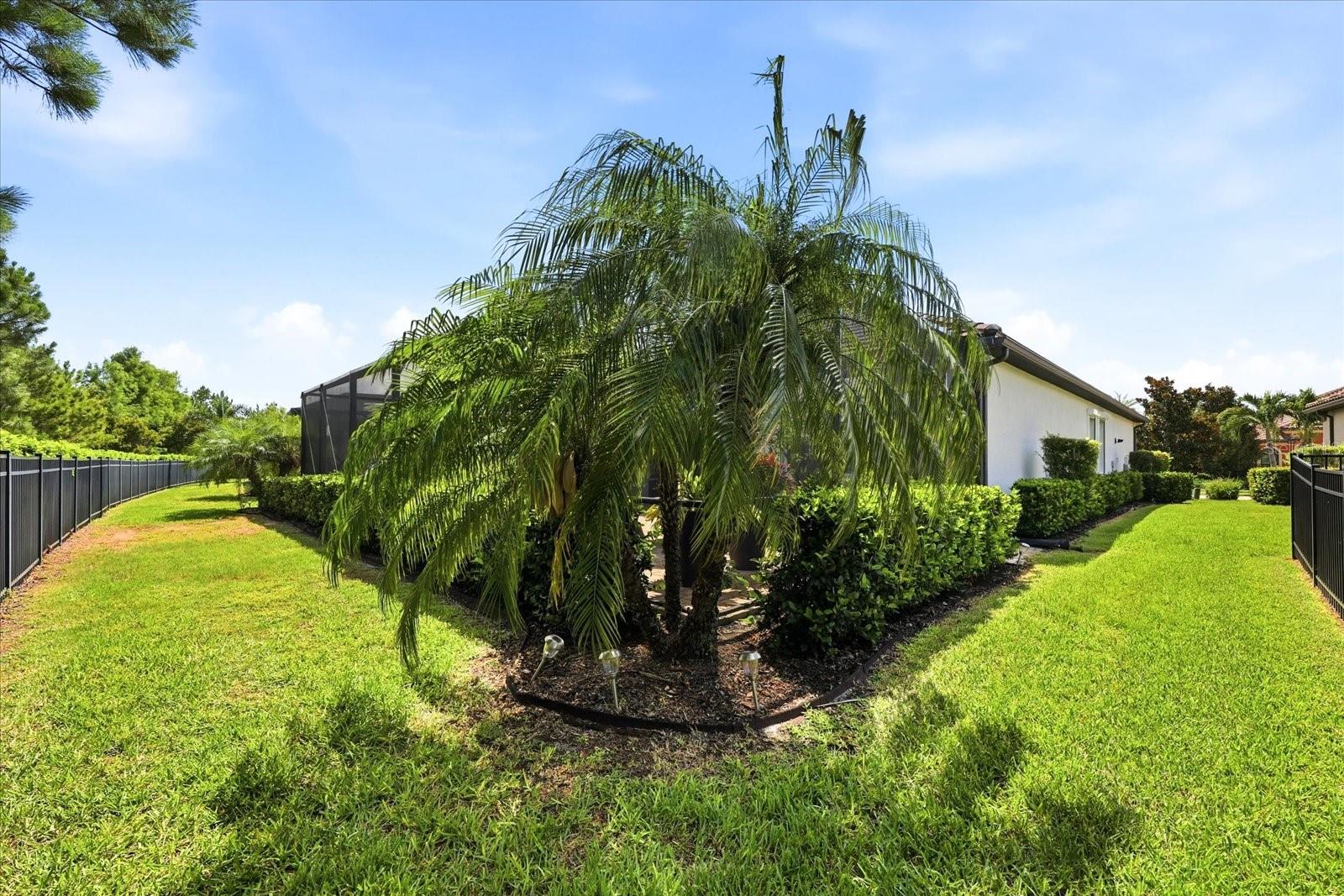 ARBOR GRANDE - Residential