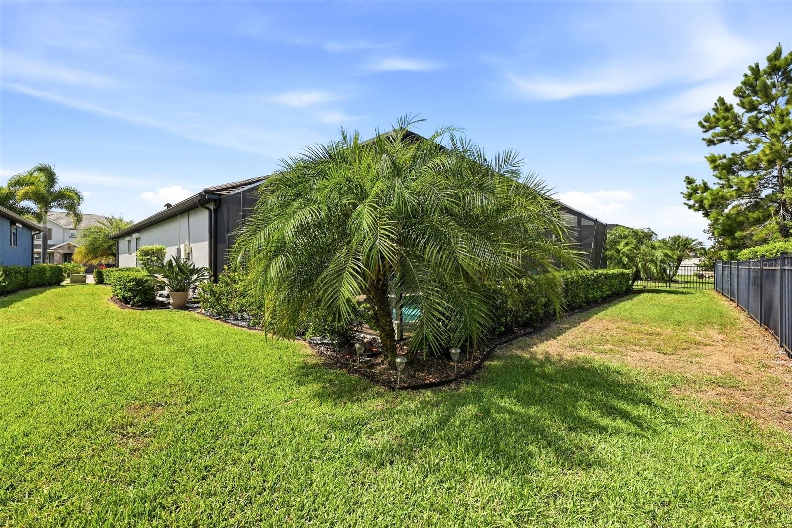 ARBOR GRANDE - Residential