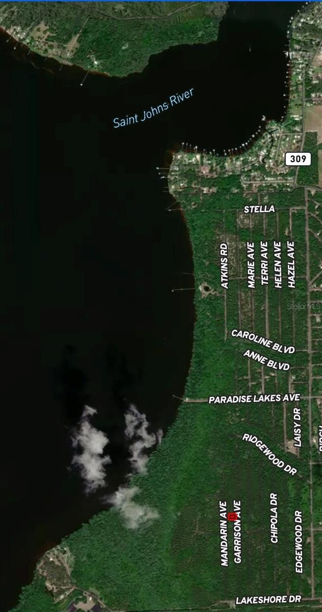 Seller financing available. 15percent discount off the total price with purchase of 3 or more lots. Seller finance price $9,900-$900 down-12percent interest-5 year term-$200/month payment. (1) of (40) BUILDING LOTS FOR SALE BY THE SAME SELLER. This lot is Zoned for MOBILE or SITE BUILT HOMES w/NO HOA. High and Dry, BUILDABLE lot located in PARADISE LAKES. Buy this land as an investment with low taxes, buy and hold with no timeline to build, or contact us about a land/home package and start building today. Parcel:37-13-27-7063-1200-0160