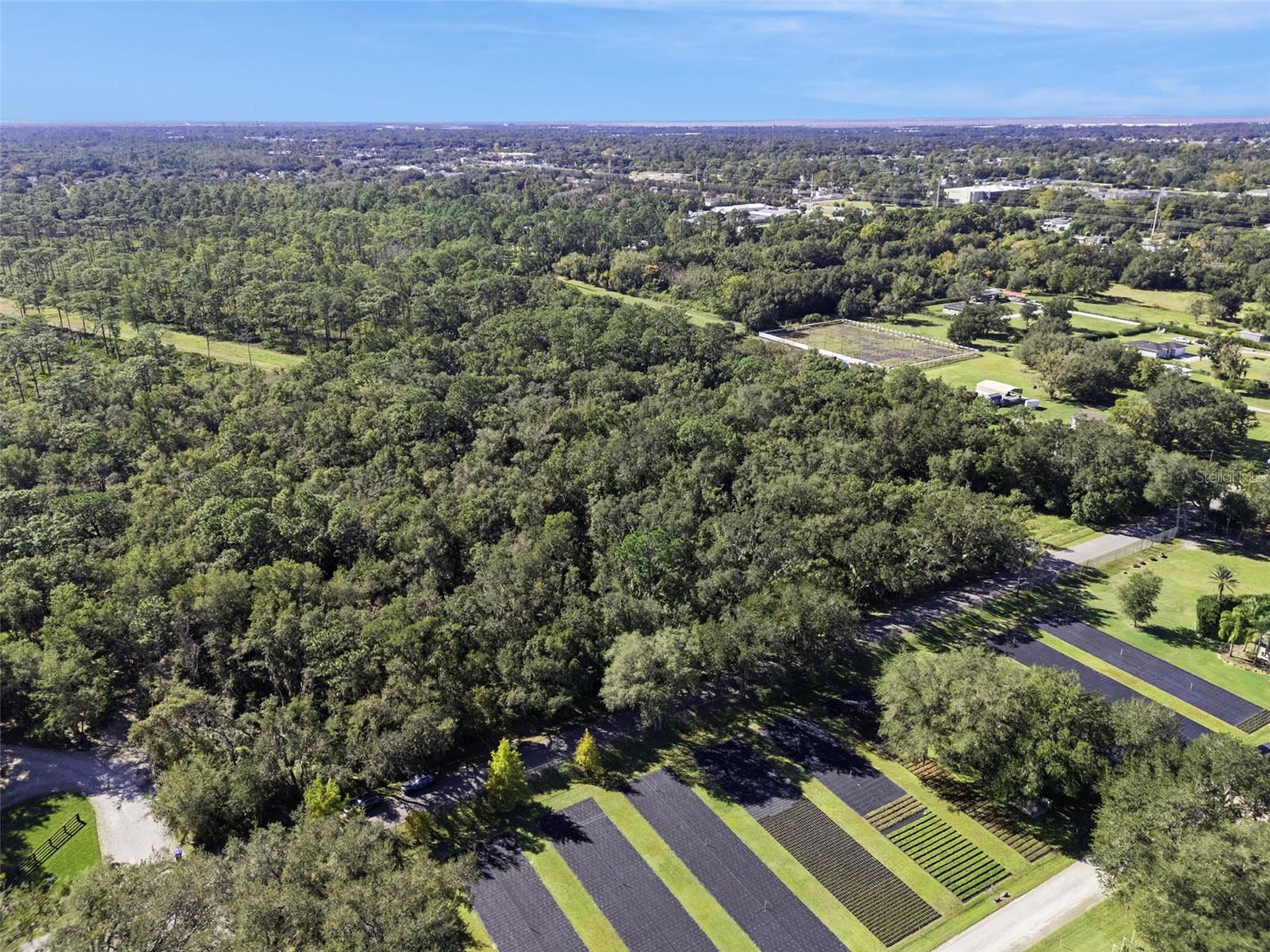 WEKIVA FOREST TRAILS - Land