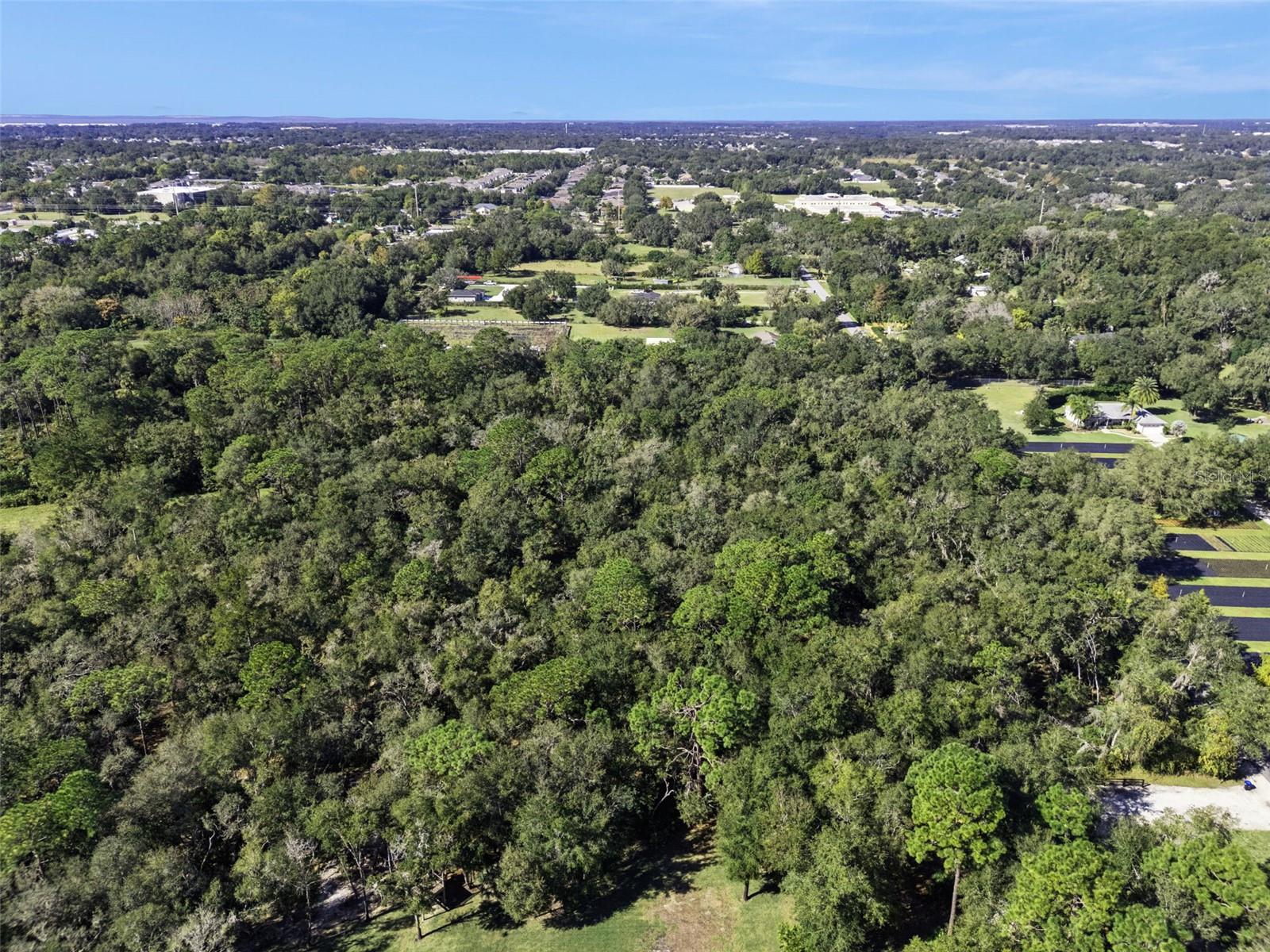 WEKIVA FOREST TRAILS - Land