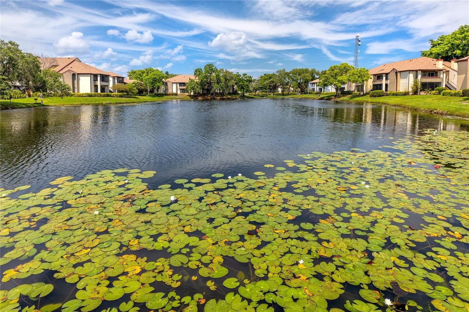 ITOPIA PRIVATE RESIDENCES CONDO - Residential Lease