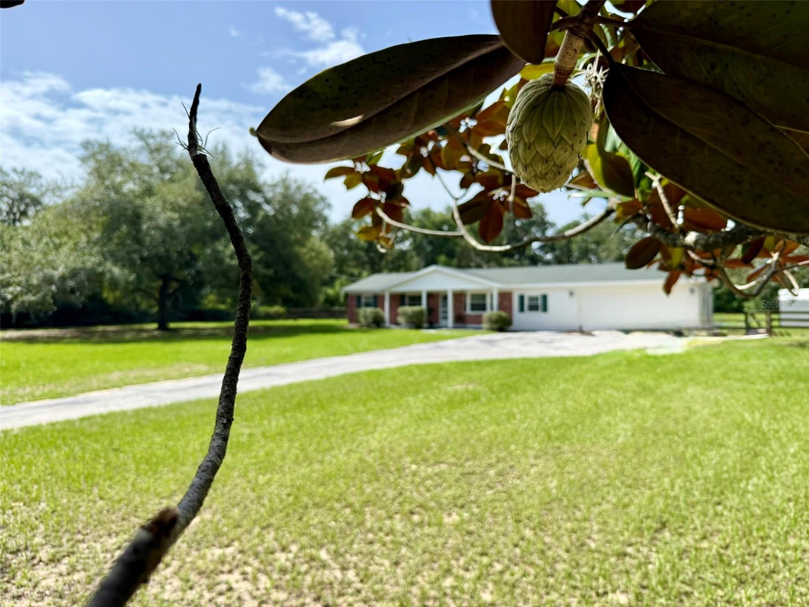 UNPLATTED - Residential