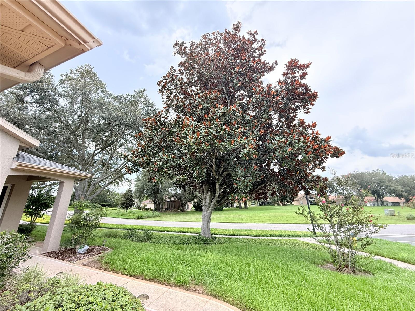 WELLINGTON AT SEVEN HILLS PH 6 - Residential
