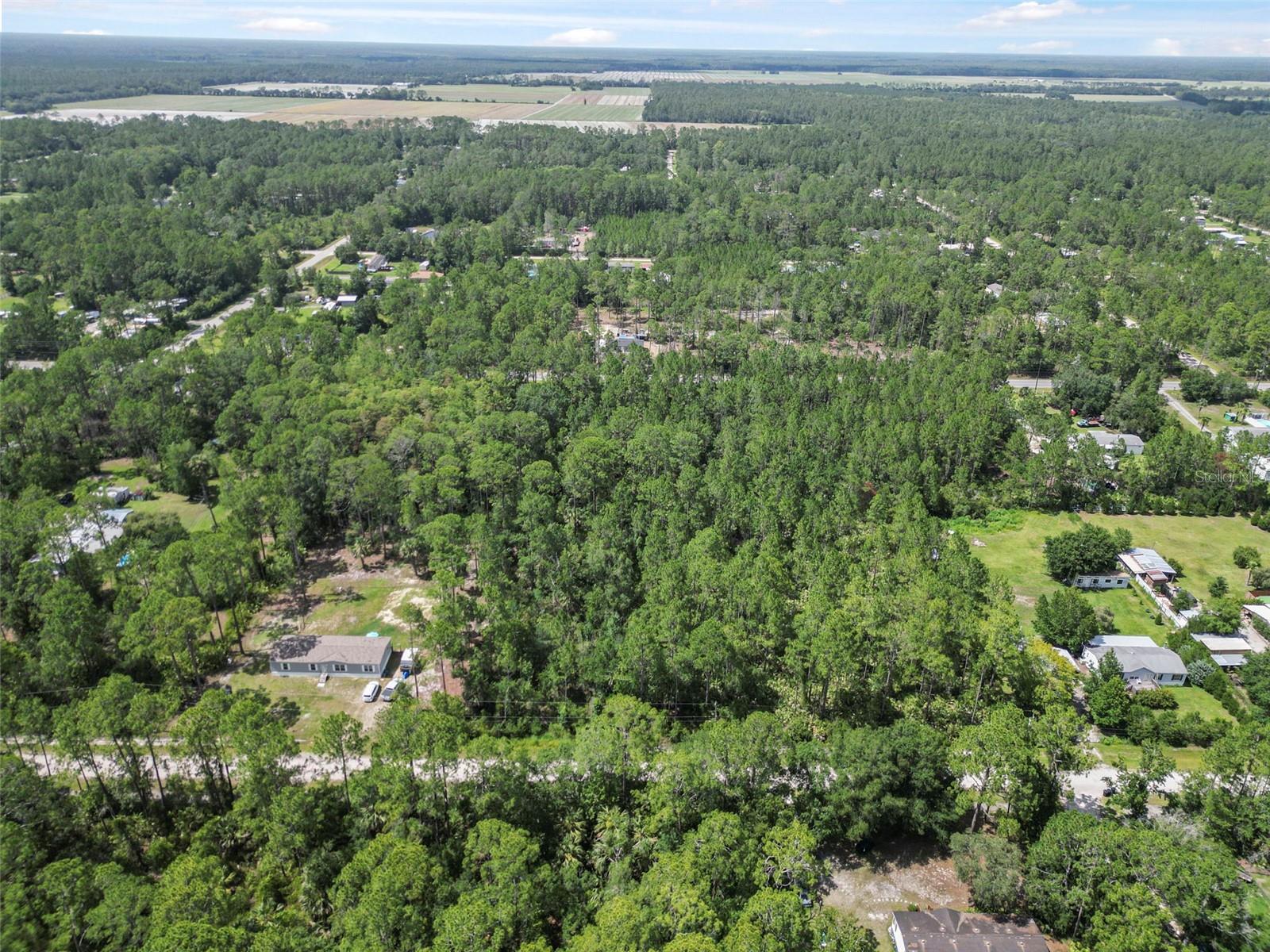 DAYTONA NORTH - Land