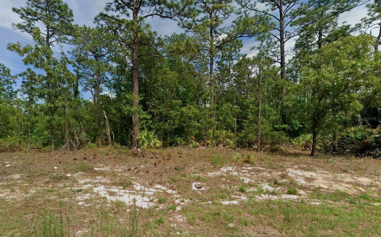 Create the home you've always imagined in the welcoming community of Citrus Springs. This residential homesite offers the perfect opportunity to design a custom home that fits your lifestyle while enjoying the tranquility of a well-established neighborhood. Conveniently located near shopping, dining, medical facilities, schools, golf courses, and everyday essentials, you'll also be just a short drive from the natural beauty of Rainbow Springs State Park, the crystal-clear waters of Rainbow River, and the world-famous Crystal River. Spend your weekends kayaking, boating, fishing, tubing, hiking, or exploring Florida's scenic Nature Coast. With convenient access to Dunnellon, Ocala, Inverness, and major highways, this property is ideal for building a primary residence, vacation retreat, or investment property. Don't miss the opportunity to secure your place in one of Central Florida's most desirable and steadily growing communities.