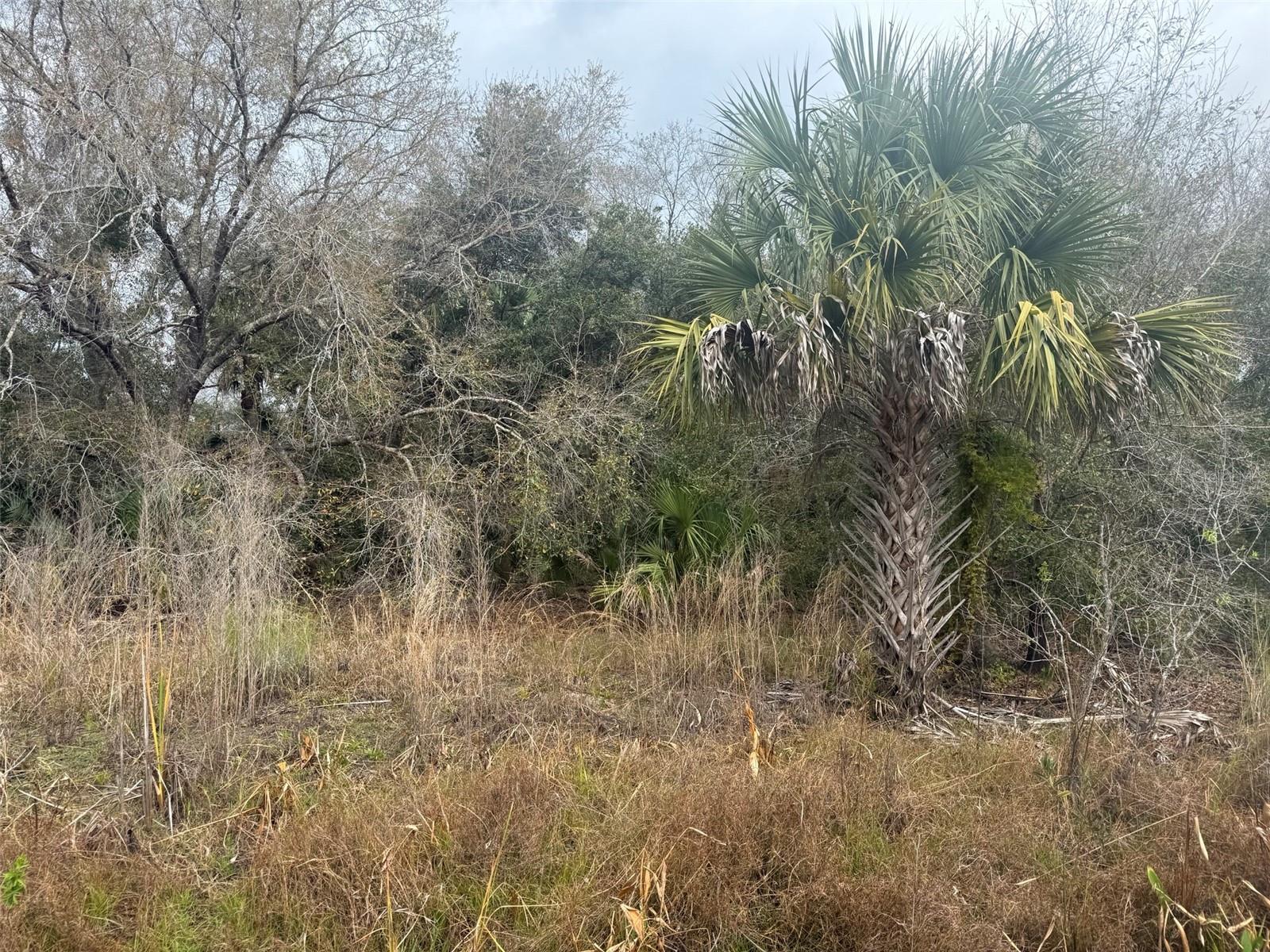 Owner finance available. 1.25 acres located in the growing Viking area of Okeechobee. This vacant parcel offers a great opportunity to build a single-family home, bring a mobile or manufactured home, or hold as an investment in a fast-growing rural area. Bring your toys, animals, RVs, boats, and enjoy wide-open rural living with plenty of space and flexibility. The property is situated on a quiet dirt road with power nearby and is not far from paved road access, providing a good balance of privacy and convenience. No HOA restrictions. Ideal for buyers looking for space, freedom, and long-term value in an expanding market.