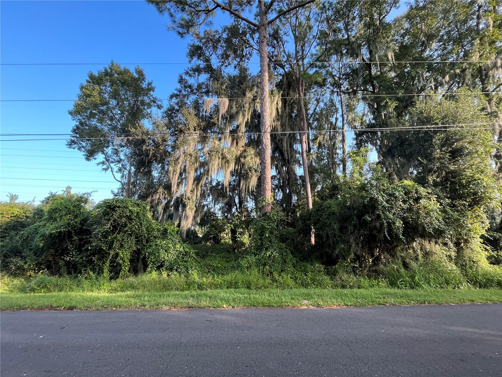 PLANTATION ESTATES UNIT 31 - Land