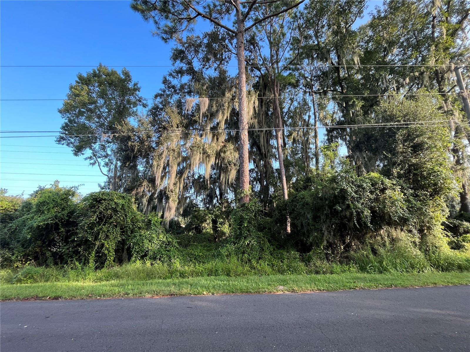PLANTATION ESTATES UNIT 31 - Land