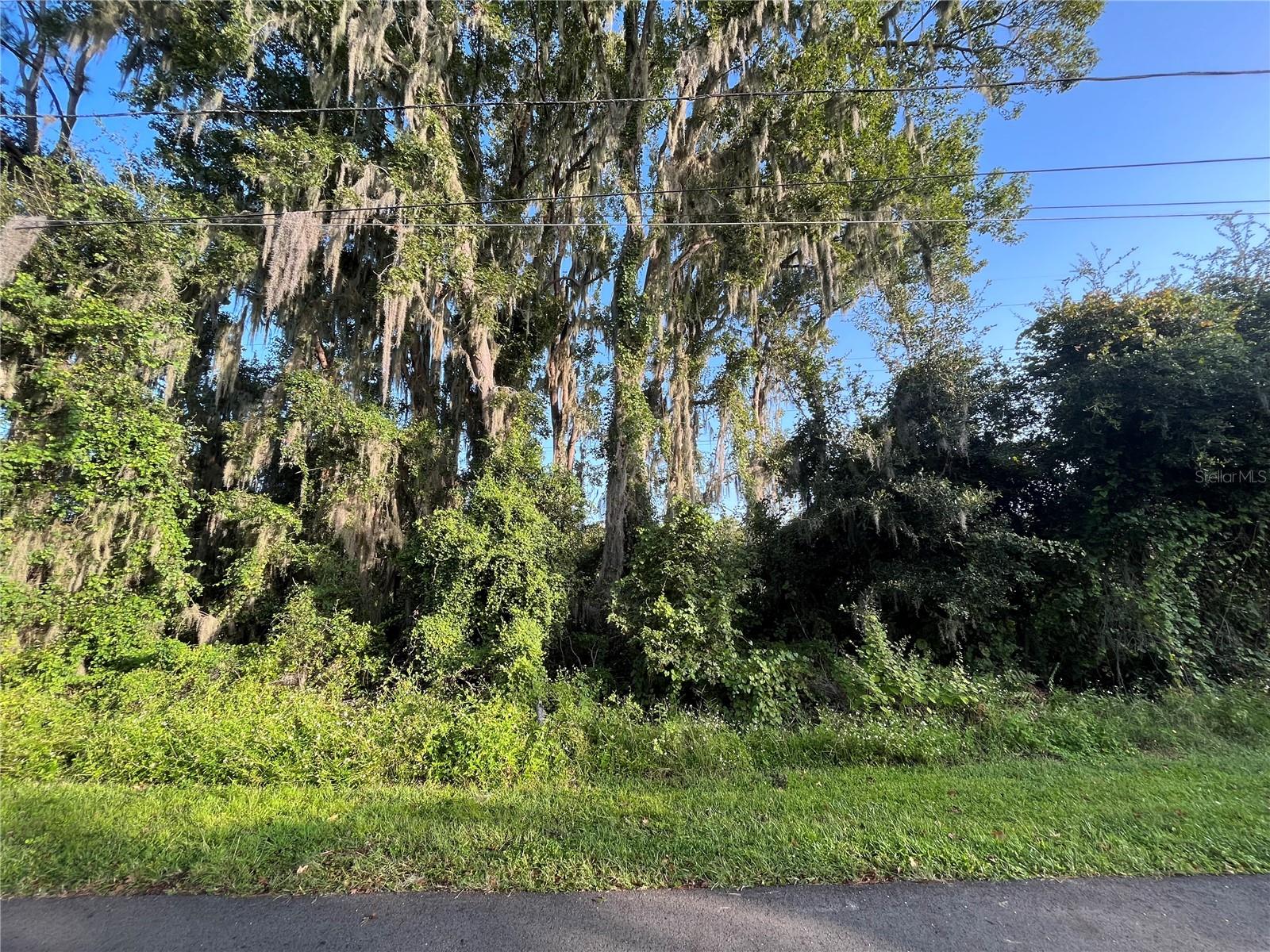 Rare Opportunity in DeBary! Invest in this spacious vacant lot at 262 Toms Rd, located in a quiet, established neighborhood with no HOA. This lot offers a great mix of privacy and convenience, just minutes from shopping, dining, and major highways for an easy commute. Additional adjacent lots also available: 264, 266, 268, and 270 Toms Rd—perfect for added space or development potential. For questions regarding land use, building requirements, or zoning, please reach out to the City of DeBary Zoning Department directly. Don't miss out on this growing area—secure your piece of DeBary today!